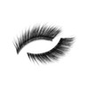 Eylure Light & Wispy No. 161