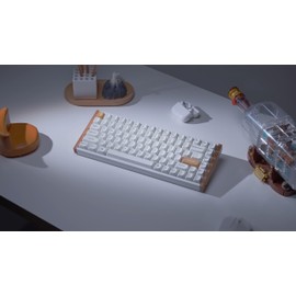 Keychron K2 HE QMK Wireless Gaming Custom Mechanical Keyboard, 2.4 GHz/Bluetooth/Wired 96% Layout Hot-Swappable Programmable RGB Backlit Gateron Magnetic Switches for Mac Windows, Wood Frame-White