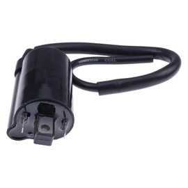JZGRDN Ignition Coil EG561-68900 129700-4850 129700-4860 129700-4870 EG561-68902 C4850 Compatible with Kubota DF972 DG972