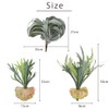 Kugusa Artificial Fake Green Air Plants Wall Hanging Artificial House