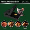 Mouse Traps Indoor for Home - 4 Pack Rat Traps