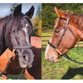 Black side pull hackamore bitless bridle attachment horse tack