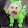 ETOSEM Dog Raincoat with Boots,Waterproof Dog Raincoats with Hood for