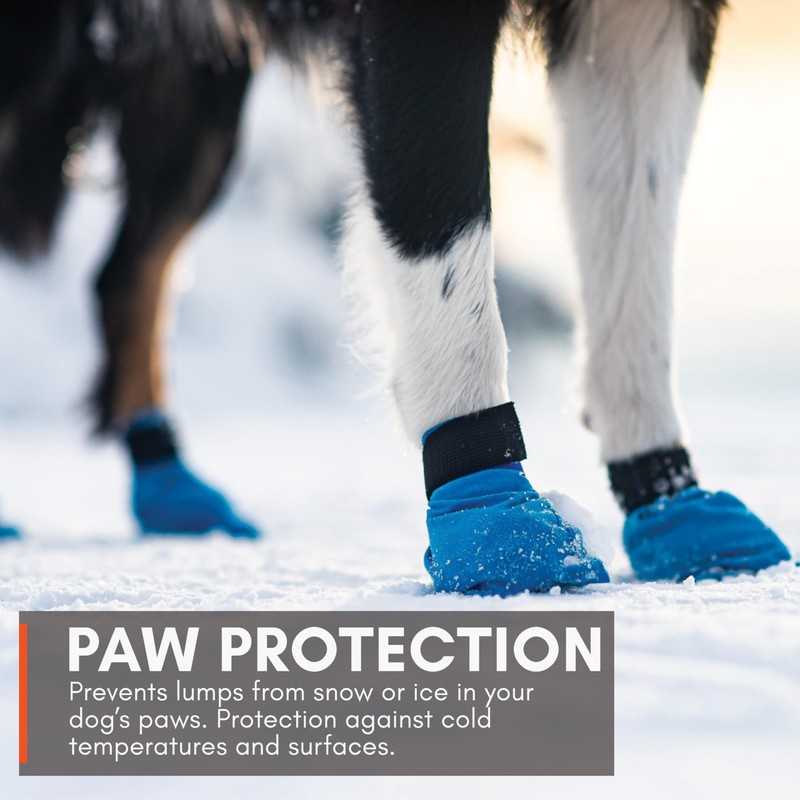 Non-stop dogwear Long Distance Boots, 4 Pack Dog Boots Winter
