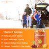 NutraChamps NutraChamps (2-Pack) Vitamin C Gummies and Elderberry Gummies Bundle