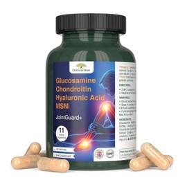 OLIVANTINE JointGuard Glucosamine & Chondroitin Complex, High Strength with MSM, Hyaluronic Acid, Turmeric, Ginger, Vitamin C & Zinc | 120 Capsules