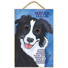 SJT ENTERPRISES, INC. Border Collie 7" x 10.5" Wood Plaque Featuring The Artwork of Ursula Dodge (SJT57505)