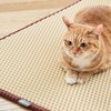 PETHROOM [Pessoriom] Clean Up Mat (Extra Large/Beige) Cat Litter Box