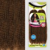 Janet Collection Braids Nala Tress 2X Afro Kinky Bulk 48"