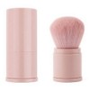 Deerfix Portable Mini Makeup Powder Shading Blusher Brush, 1 Piece, Pink Rose / 디어픽스 휴대용 미니 메이크업 파우더 쉐딩 블러셔 브러쉬, 1개, 핑크로즈
