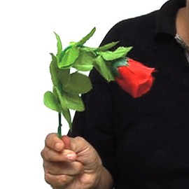 Rosa gehorsam - professionelle Magie Tricks geheimnisvolle Box mit Video erklären Artikel für Kinder Sammlerstücke der Marke