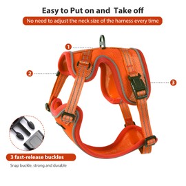 Rttochfy Cat Harness and Leash Set, Adjustable and Reflective Cat Vest, Escape Proof Kitten Harness, Easy to Put on with 3 Buckles for Cats Walking and Traveling (Orange, S)
