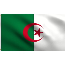 DMSE Algeria Algerian Arabic National Flag 2X3 Ft Foot 100% Polyester 100D Flag UV Resistant (2' X 3' Ft Foot)