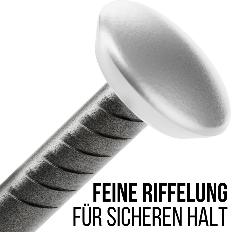 FIXXIA Picture Nails with or without Impact Aid, 30 Pieces