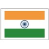 8 Large India Flag Tattoos: Indian Party Favors