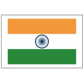 8 Large India Flag Tattoos: Indian Party Favors