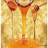 HONEY TREATMENT 20.2 fl oz (600 ml) [Horse Oil +