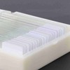 20pcs Microbiological Bacterial Specimens Biology Microscope Slices Lab Specimen