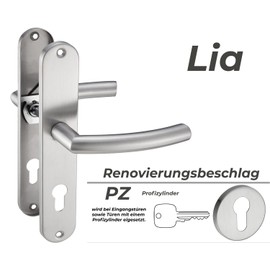 Stahlia Handle set long plate renovation set stainless steel brushed LIA | PZ - professional cylinder | door fitting for room doors, entrance doors for door thickness 20 - 47 mm | mounting material