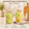 Glolaurge 1 Gallon Fermentation Jars with Airlocks & Glass Weights,