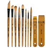 1610 Professional Watercolor Paint Brushes,Biaelk 10PCS Variety Brushes for Beginners
