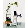 Baxter of California - Skin Concentrate BHA - Face Serum