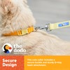 Dodo All Nylon Yellow Collar and Leash - Medium; Matching