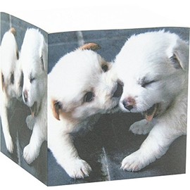 4A Sticky Memo Cube,2.87 x 2.87 Inches,Notes Cube with White Dog Patterned Printed On The Four Sides,Self-Stick Notes Cube,About 580 Sheets/Cube,1 Cube/Pack, 4A SMC 437