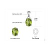 JewelryPalace Natural Gemstone Garnet Peridot Amethyst Citrine Blue Topaz Birthstone
