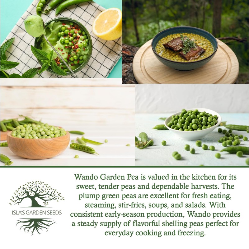 Wando Garden Pea Seeds (Pisum sativum) – 50+ Heirloom Non-GMO
