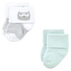 Luvable Friends Unisex Baby Newborn and Baby Terry Socks, Owl,