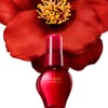 Tsubaki Hair Oil Force M 60ml, 2 pieces / 츠바키