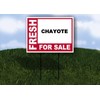 CHAYOTE Fresh For Sale Pink 1 Single Sided 18x24 in