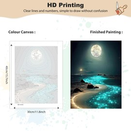 MEIYUDA Painting by Numbers Adults with Frame, Scenic Landscape, DIY Digital Oil Painting Set on Canvas with Brushes and Acrylic Pigment Craft Set, Artwork for Home Decoration, Gift, 30 x 40 cm