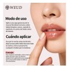 Labial Balsamo Weud Nocturno Hidrata 20g Volumen Nutricion