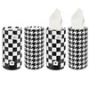 PACIOCEAN 4 Pack Car Tissues Holder with Facial Tissues,Cylinder Holder