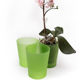 Home Garden Ornaments Orchid Pots, Flower Planter - Decorative Semi Transparent Plastic Orchid Pot with Inner Cone for Hydration, Set of 3 (Diameter: 12cm, Colour: Green)