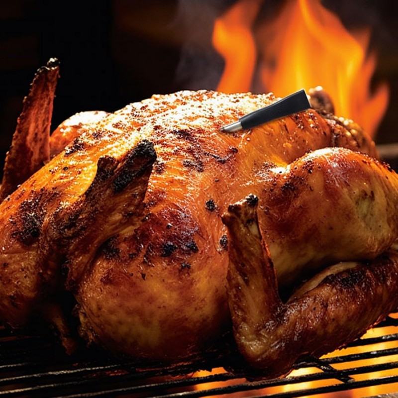 Wadayu Smart Meat Thermometers, APP Control Waterproof Wireless Meat Thermometer