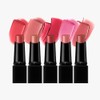 Kate Lip Monster Mini Lipstick 5 Colors & House Set