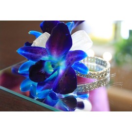 Miami Fresh Orchid Flower OrchidClub USA Sunne Tropical Loose Bloom DIY Lei Food Drink Decoration (50 BLUE)