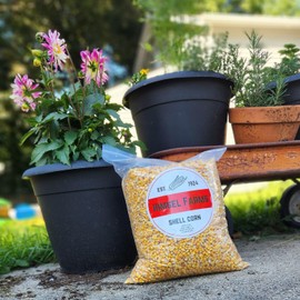 Himsel Farms Shelled, Whole Kernel Corn Deer, Squirrel,Turkey 10lb Bag, Wildlife Food, yellow