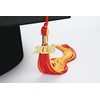 ZIRURUTON 10 Pieces 2025 Graduation Cap Tassels with Gold Charms