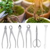 Bonsai Tools Set, 6pcs Stainless Steel Bonsai Garden Plant Tree