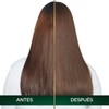 Tinte para cabello Nutrisse Oleos sin amoniaco 7.12 rubio cenizo