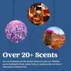 Scented Car Air Freshener - Long Lasting Car Diffuser -