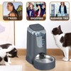 Automatic Cat Feeder and Water Dispenser with Stainless Steel Bowl