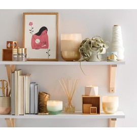 ILLUME Coconut Milk Mango Soy Candle, Medium Mojave Glass, Pink, 13 oz.