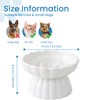 Gonalulu Elevated Ceramic Slow Feed Dish for Cats and Small