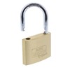 Burg Wächter 222 60 C-Line 60 mm Padlock