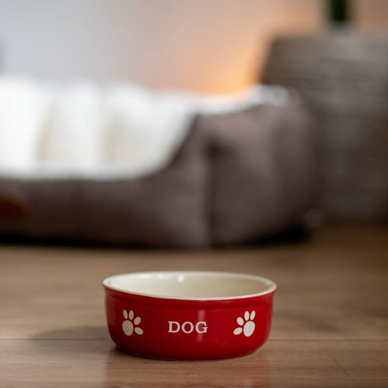 Nobby ceramic dog bowl